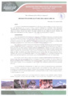 Vista preliminar de documento Resolución Gerencial N° 049-2021-GIDUR-MPH-M