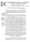Vista preliminar de documento RGM-597-2021-GM-MPLC