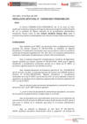 Vista preliminar de documento Resolución Jefatural