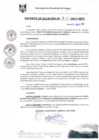 Vista preliminar de documento DEA0010-2017
