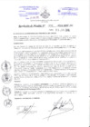 Vista preliminar de documento 595-2016