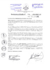 Vista preliminar de documento 598-2016