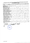 Vista preliminar de documento Cronograma y Requisitos.
