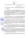 Vista preliminar de documento RES-294-2021-GRDS