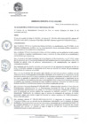 Vista preliminar de documento OM_025-2021-MPV