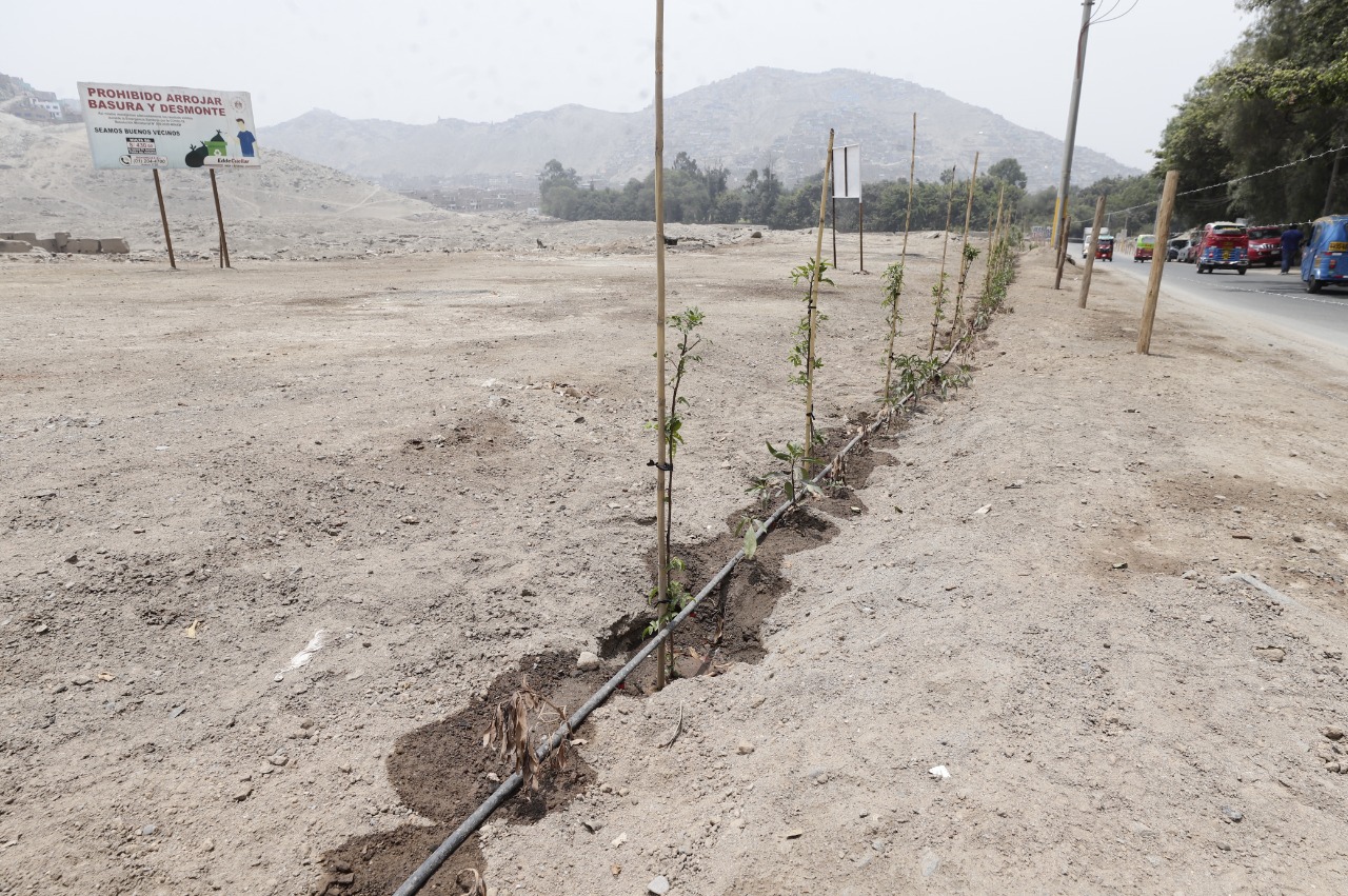 Ministerio de Cultura implementa acciones para la protección de la Zona Arqueológica Monumental de Huanchihuaylas