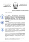 Vista preliminar de documento Resolución N° 0002-2020/SBN-DGPE-SDAPE