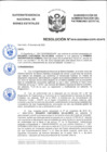 Vista preliminar de documento Resolución N° 0016-2020/SBN-DGPE-SDAPE
