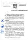 Vista preliminar de documento Resolución N° 0009-2020/SBN-DGPE-SDAPE