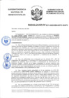 Vista preliminar de documento Resolución N° 0017-2020/SBN-DGPE-SDAPE