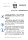 Vista preliminar de documento Resolución N° 0020-2020/SBN-DGPE-SDAPE