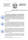 Vista preliminar de documento Resolución N° 0022-2020/SBN-DGPE-SDAPE