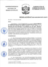 Vista preliminar de documento Resolución N° 0029-2020/SBN-DGPE-SDAPE