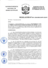 Vista preliminar de documento Resolución N° 0031-2020/SBN-DGPE-SDAPE