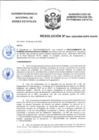 Vista preliminar de documento Resolución N° 0041-2020/SBN-DGPE-SDAPE