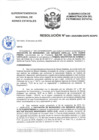 Vista preliminar de documento Resolución N° 0061-2020/SBN-DGPE-SDAPE