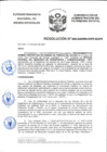 Vista preliminar de documento Resolución N° 0085-2020/SBN-DGPE-SDAPE