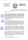 Vista preliminar de documento Resolución N° 0106-2020/SBN-DGPE-SDAPE