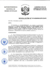 Vista preliminar de documento Resolución N° 0113-2020/SBN-DGPE-SDAPE