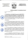 Vista preliminar de documento Resolución N° 0193-2020/SBN-DGPE-SDAPE