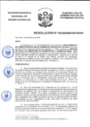 Vista preliminar de documento Resolución N° 0196-2020/SBN-DGPE-SDAPE