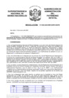 Vista preliminar de documento Resolución N° 0300-2020/SBN-DGPE-SDAPE