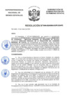 Vista preliminar de documento Resolución N° 0306-2020/SBN-DGPE-SDAPE