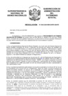 Vista preliminar de documento Resolución N° 0462-2020/SBN-DGPE-SDAPE