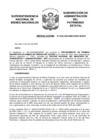 Vista preliminar de documento Resolución N° 0493-2020/SBN-DGPE-SDAPE