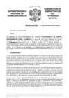 Vista preliminar de documento Resolución N° 0494-2020/SBN-DGPE-SDAPE