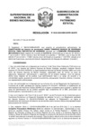 Vista preliminar de documento Resolución N° 0522-2020/SBN-DGPE-SDAPE