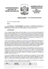 Vista preliminar de documento Resolución N° 0619-2020/SBN-DGPE-SDAPE