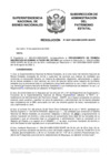 Vista preliminar de documento Resolución N° 0687-2020/SBN-DGPE-SDAPE