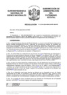 Vista preliminar de documento Resolución N° 0703-2020/SBN-DGPE-SDAPE