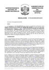 Vista preliminar de documento Resolución N° 0728-2020/SBN-DGPE-SDAPE