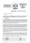 Vista preliminar de documento Resolución N° 0953-2020/SBN-DGPE-SDAPE