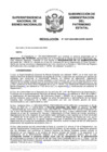 Vista preliminar de documento Resolución N° 1007-2020/SBN-DGPE-SDAPE