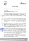 Vista preliminar de documento ORDENANZA_N_704_2021.pdf