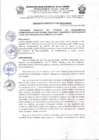 Vista preliminar de documento Ordenanza Municipal N° 004-2019-MDLA/A