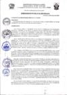 Vista preliminar de documento Ordenanza Municipal N° 001-2020-MDLA/A
