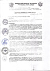 Vista preliminar de documento Ordenanza Municipal N° 006-2020-MDLA/A