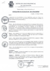 Vista preliminar de documento Resolución de Alcaldía Nº 391-2018-A/MPSM