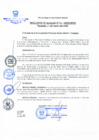 Vista preliminar de documento Resolución de Alcaldía Nº 202-2018-A/MPSM