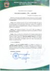 Vista preliminar de documento Resolución de Alcaldía Nº 796-2017-A/MPSM