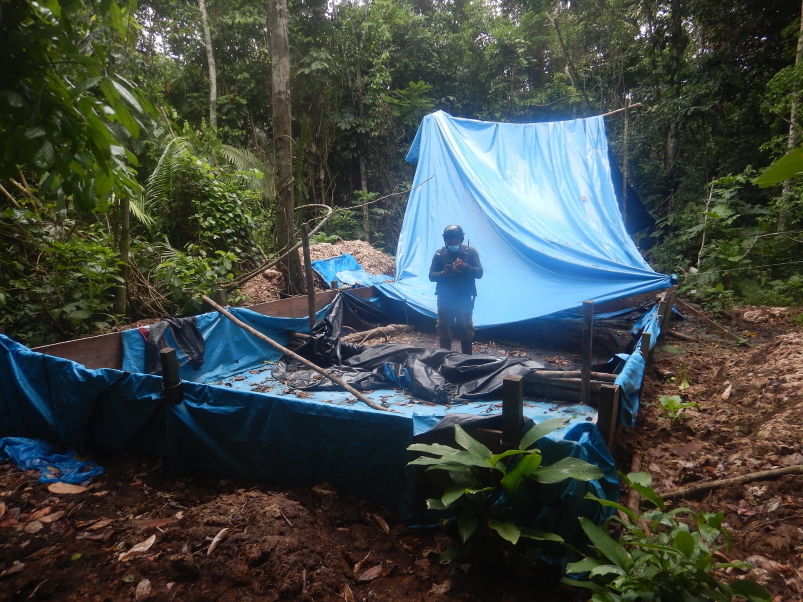 Huánuco: destruyen laboratorio de PBC durante erradicación de coca ilegal