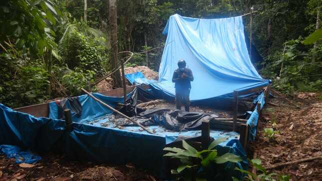 Huánuco: destruyen laboratorio de PBC durante erradicación de coca ilegal