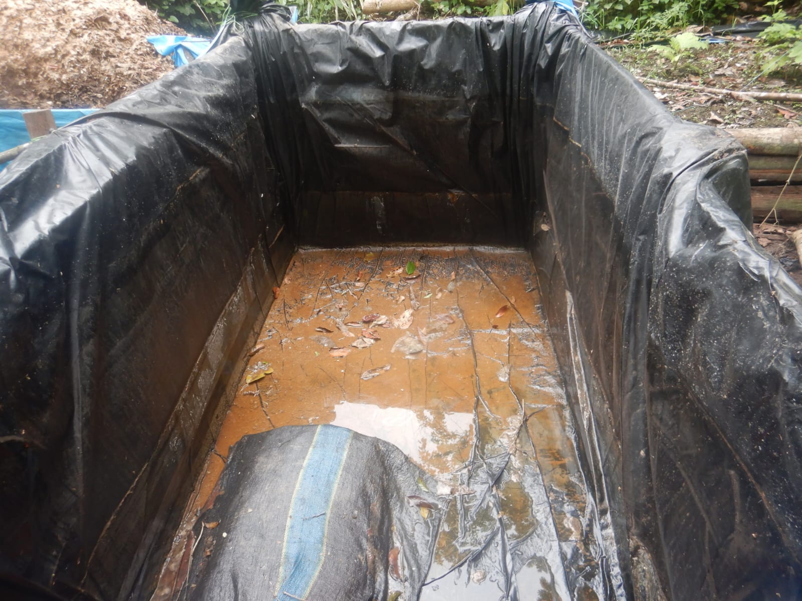 Huánuco: destruyen laboratorio de PBC durante erradicación de coca ilegal