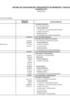 Vista preliminar de documento Estado de ejecución del Presupuesto de ingresos y gastos 2017