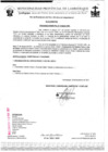 Vista preliminar de documento ordenanza municipal