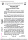 Vista preliminar de documento ordenanza municipal